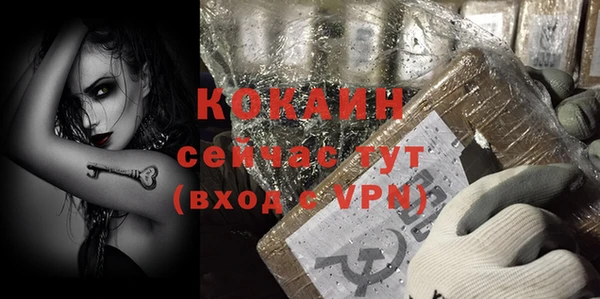 молекула духа Белокуриха