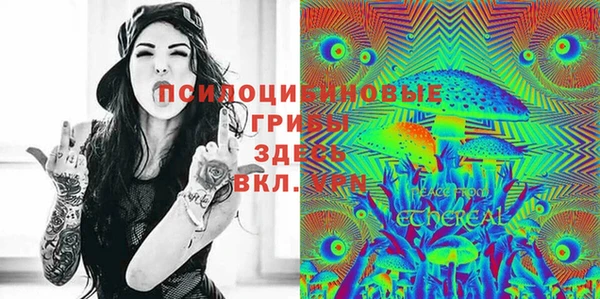 молекула духа Белокуриха